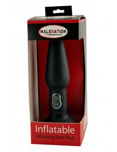 Plug anal gonflable vibrant 2