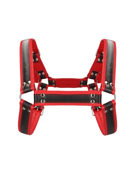 Harnais Buckle Bulldog rouge - Ouch!