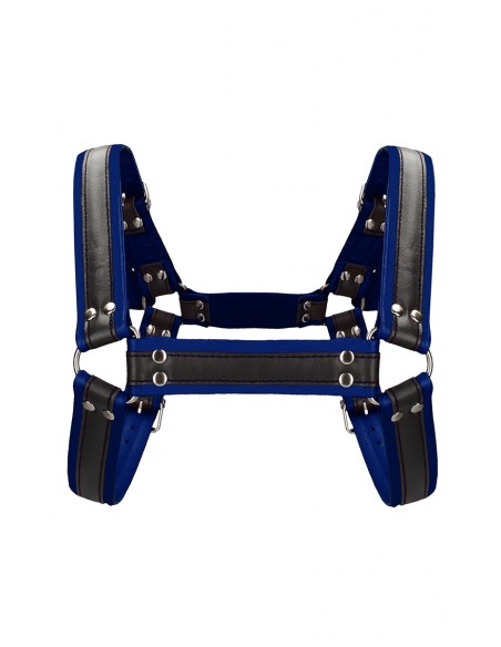 Harnais Buckle Bulldog bleu - Ouch!